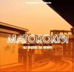 Makhadzi - Matorokisi (DJ Muzik SA Remix) Ft. DJ Call Me